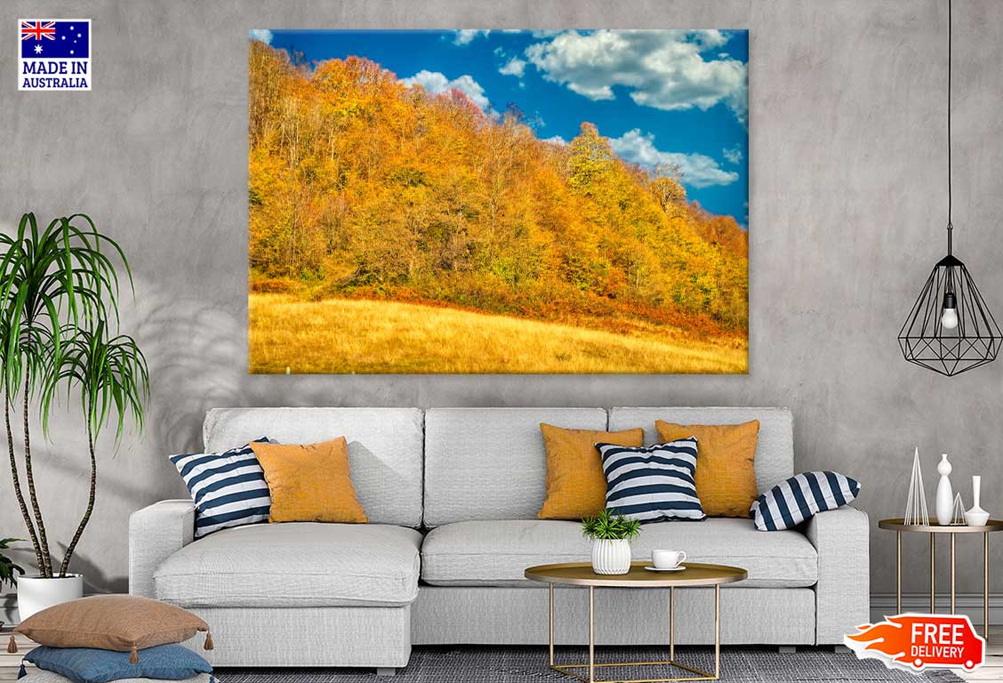 Autumn Trees Hill Cloudy Blue Sky View Photograph Print 100% Australian Made