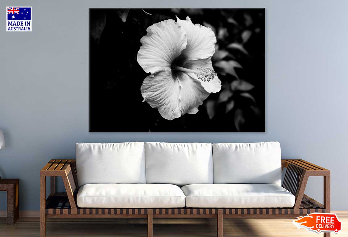 Hibiscus Flower B&W Photograph Print 100% Australian Made