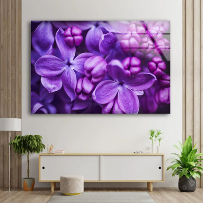 Purple Flowers Closeup Photograph Acrylic Glass Print Tempered Glass Wall Art 100% Made in Australia Ready to Hang