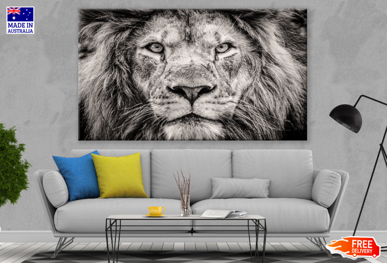 Lion face Closeup B&W Photograph Print 100% Australian Made