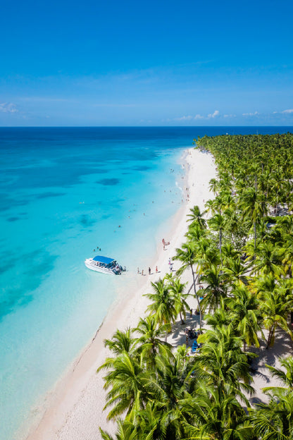 Aerial View of Saona Island Sea Photograph Home Decor Premium Quality Poster Print Choose Your Sizes