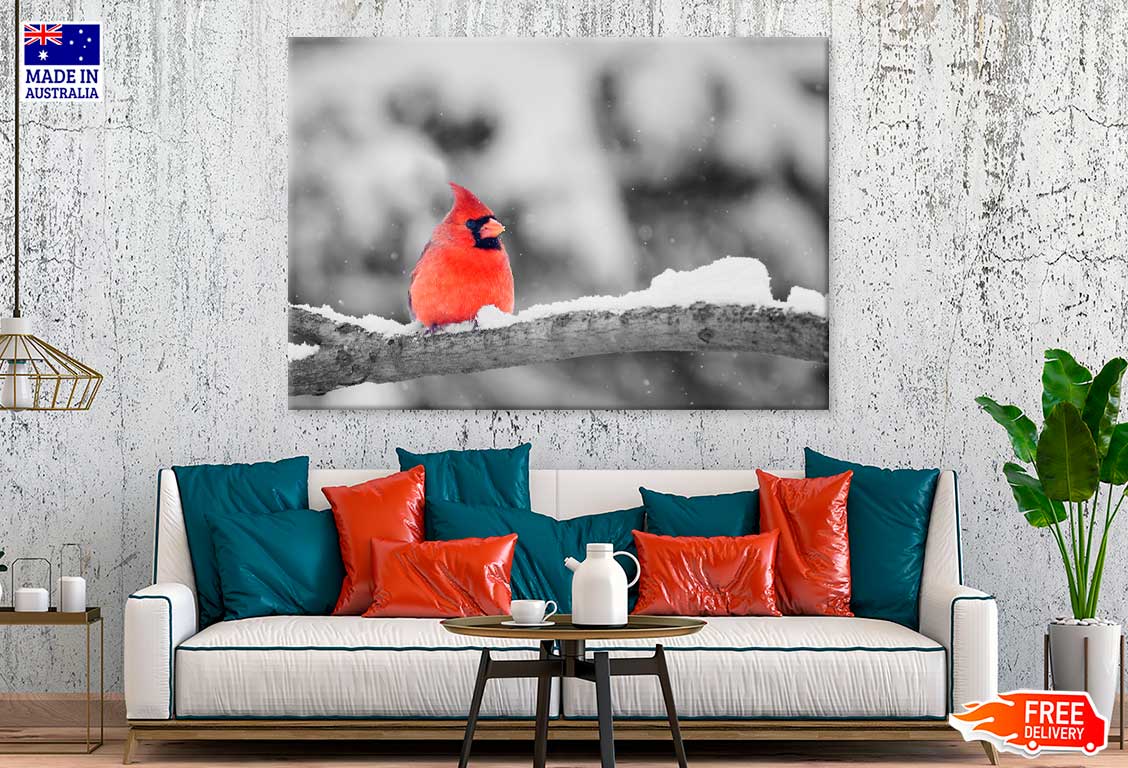 Cardinal Bird on Snowy Tree Branch Photograph Print 100% Australian Made