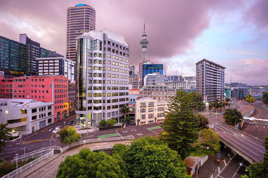 Bella Home Auckland Skyline View New Zealand Print Canvas Ready to hang