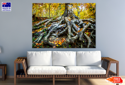 Hardwood Forest & Trees Photograph Print 100% Australian Made