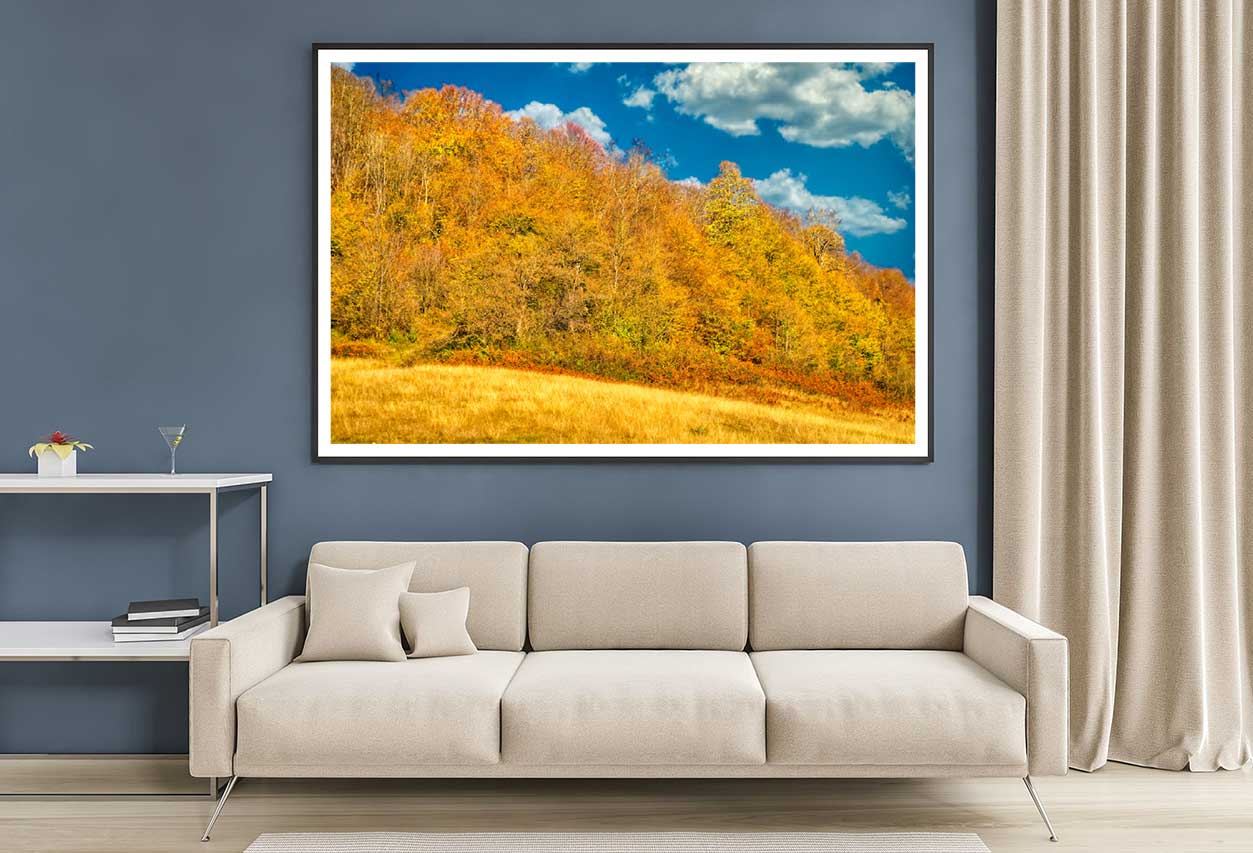 Autumn Trees Hill Cloudy Blue Sky Photograph Home Decor Premium Quality Poster Print Choose Your Sizes