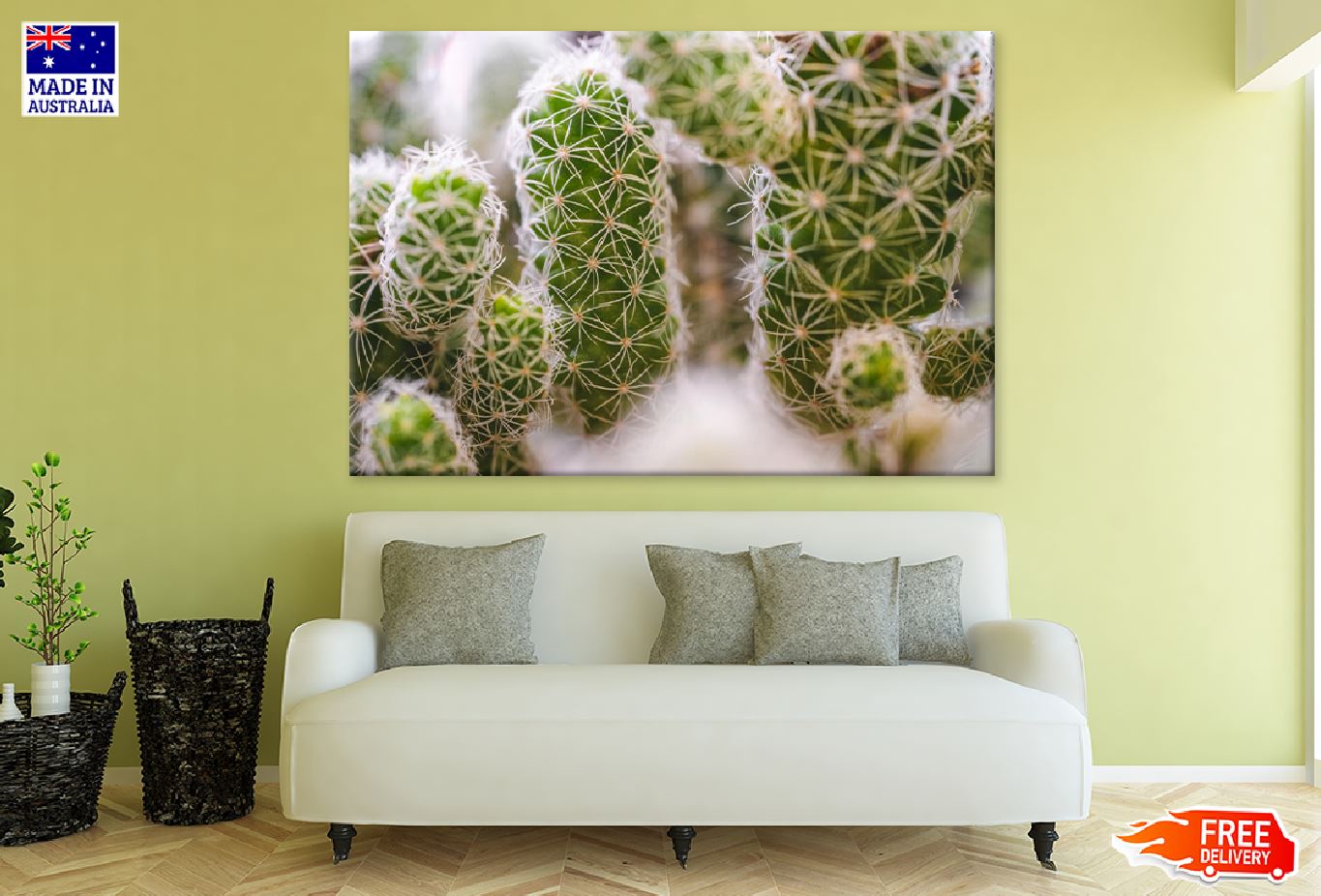 Green Succulent Plant Closeup View Photograph Print 100% Australian Made