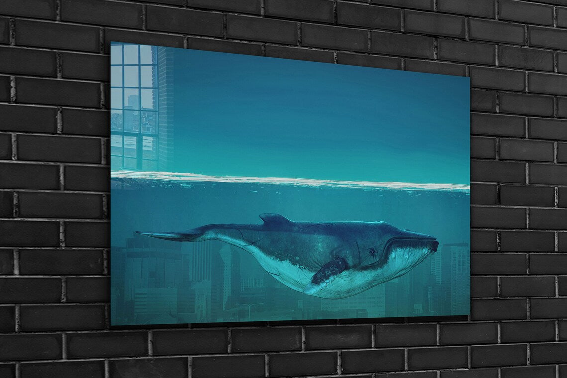 Whale Underwater View Print Tempered Glass Wall Art 100% Made in Australia Ready to Hang