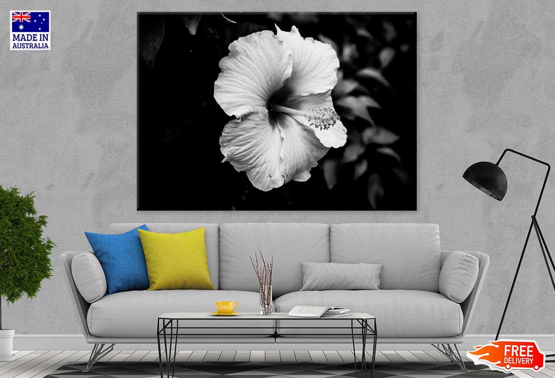 Hibiscus Flower B&W Photograph Print 100% Australian Made