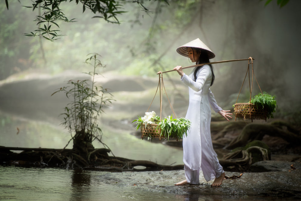 Girl Carrying Vegetables Vietnam Home Decor Premium Quality Poster Print Choose Your Sizes