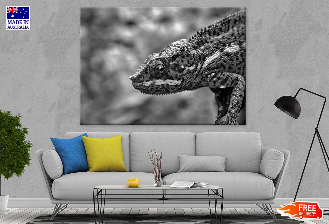 Chameleon Closeup B&W Photograph Print 100% Australian Made