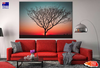 Dry Tree Sunset Photograph Print 100% Australian Made