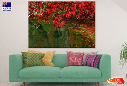 Maple Tree Leaves Over River Photograph Print 100% Australian Made