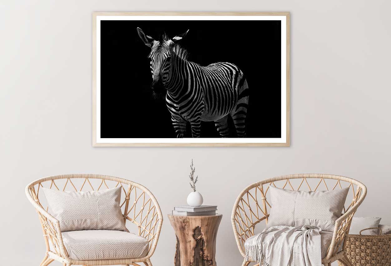 Zebra on Dark Closeup Photograph Home Decor Premium Quality Poster Print Choose Your Sizes