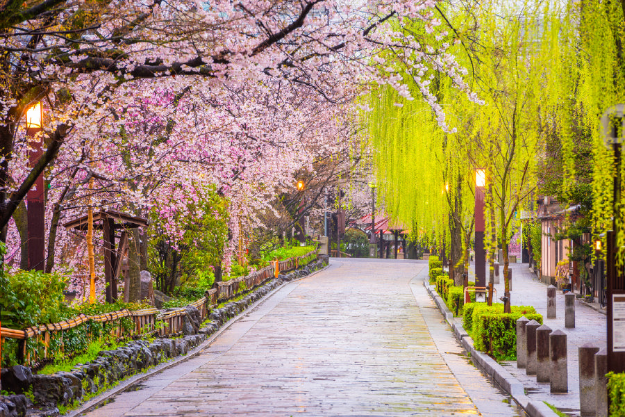 Trees on Gion Shirakawa Street View Photograph Home Decor Premium Quality Poster Print Choose Your Sizes