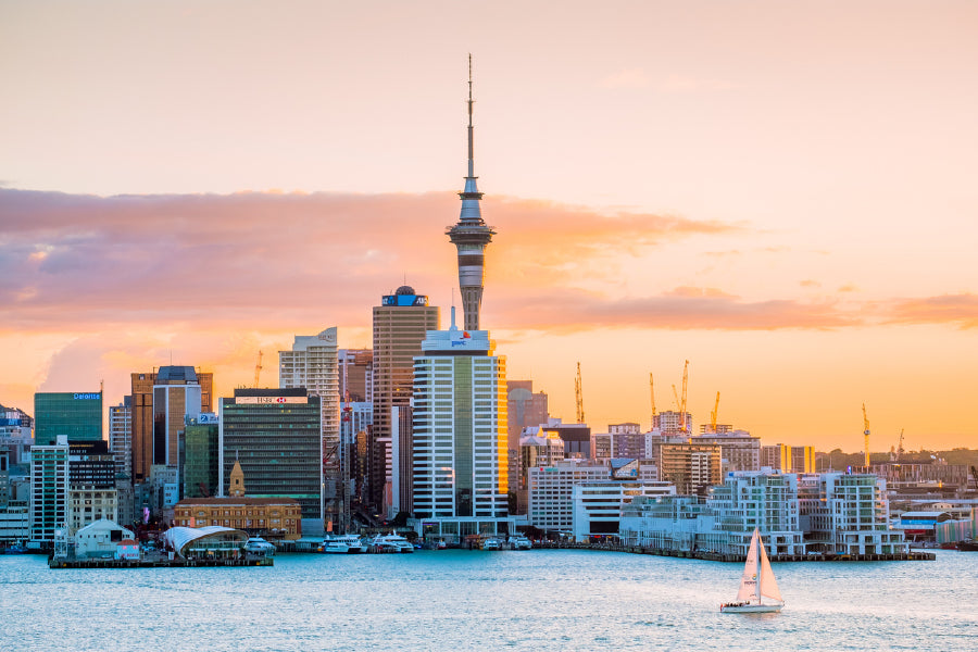 Auckland City View From Sea View Photograph Print 100% Australian Made