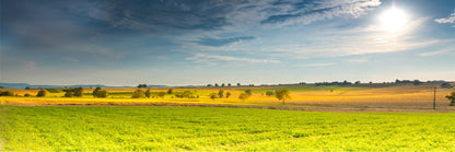 Panoramic Canvas Green Meadow Photograph High Quality 100% Australian Made Wall Canvas Print Ready to Hang