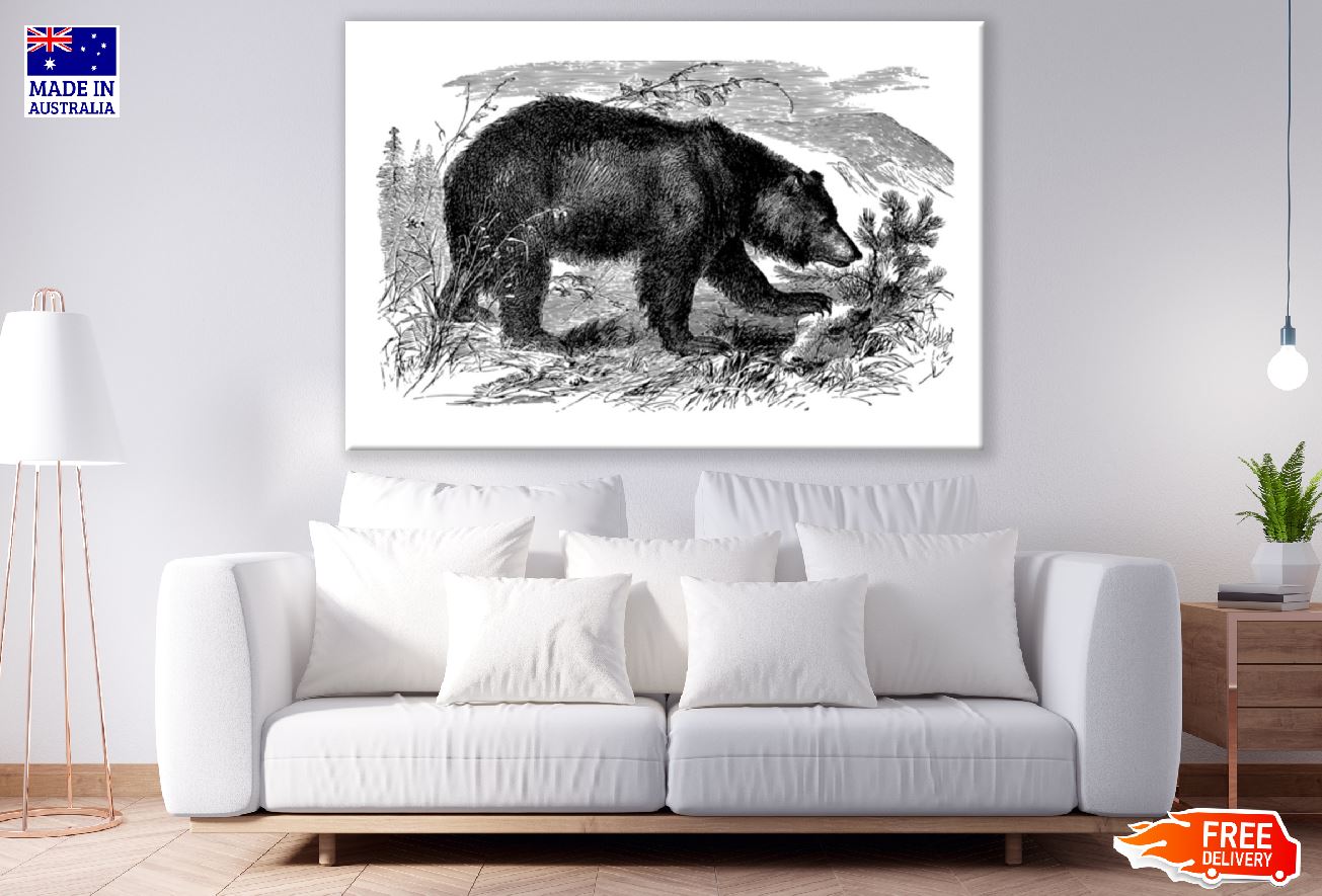 Bear B&W Art Design Print 100% Australian Made