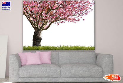 Floral Tree Photograph Print 100% Australian Made