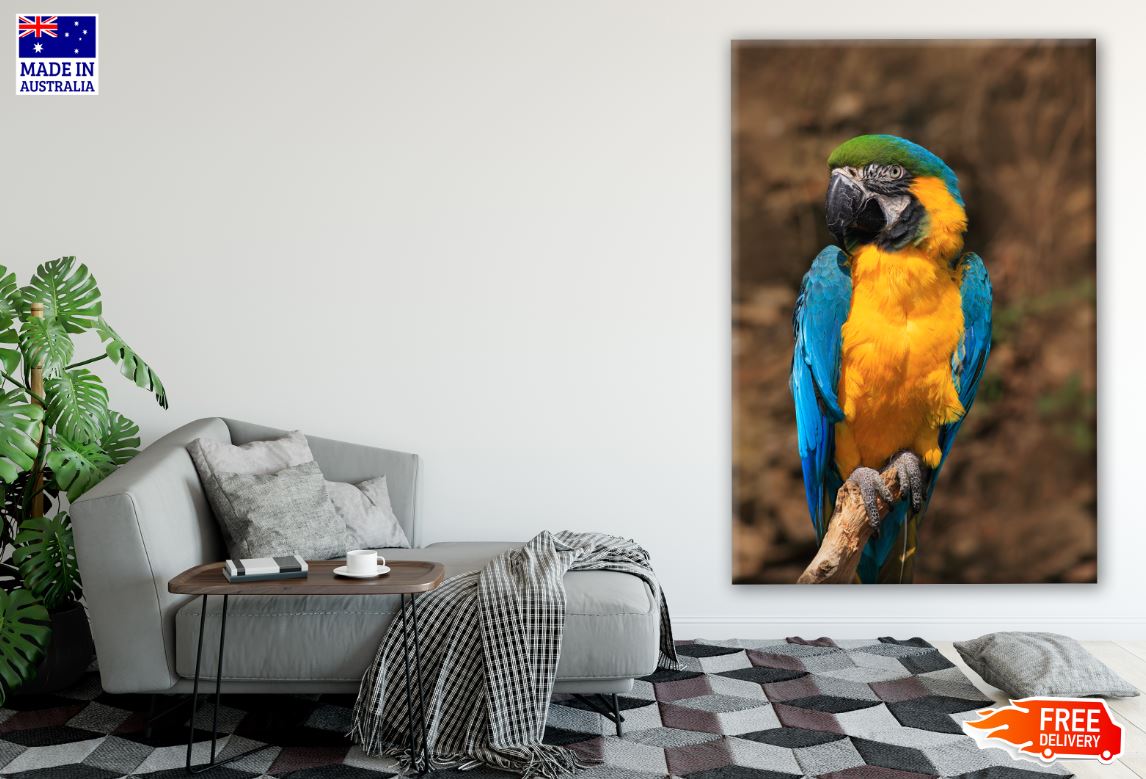 Macaw Bird Closeup Photograph Print 100% Australian Made