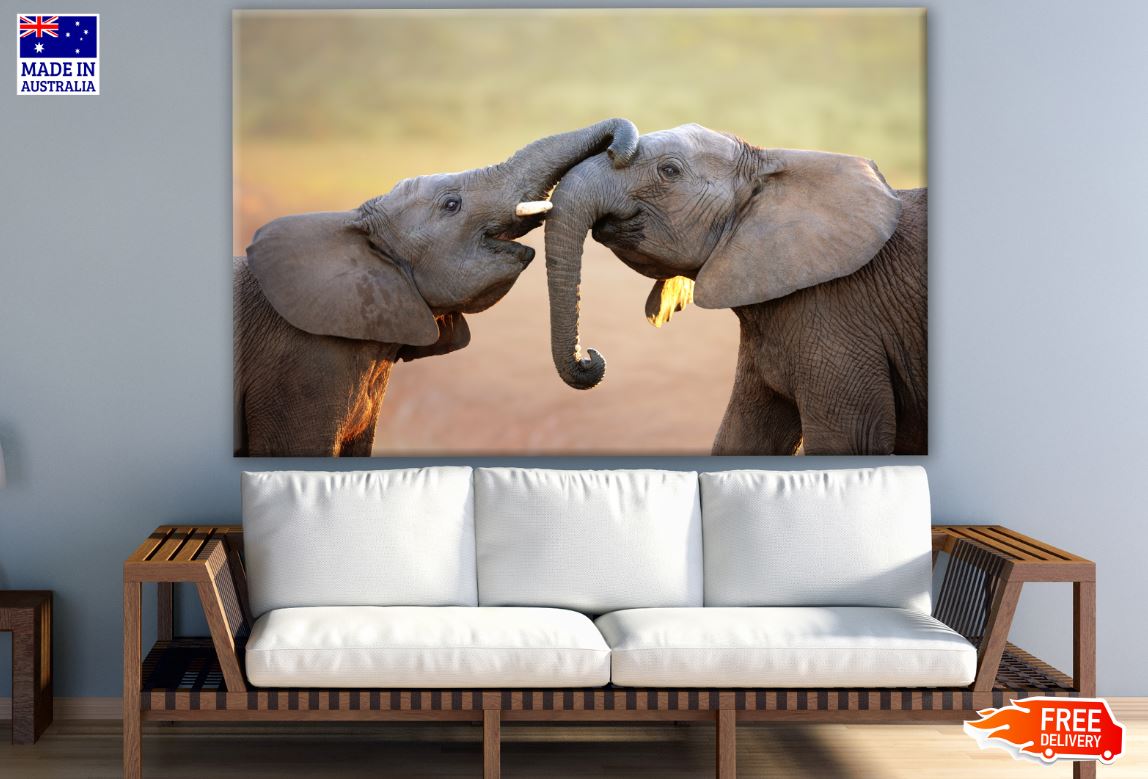 Elephants Playing Closeup Photograph Print 100% Australian Made