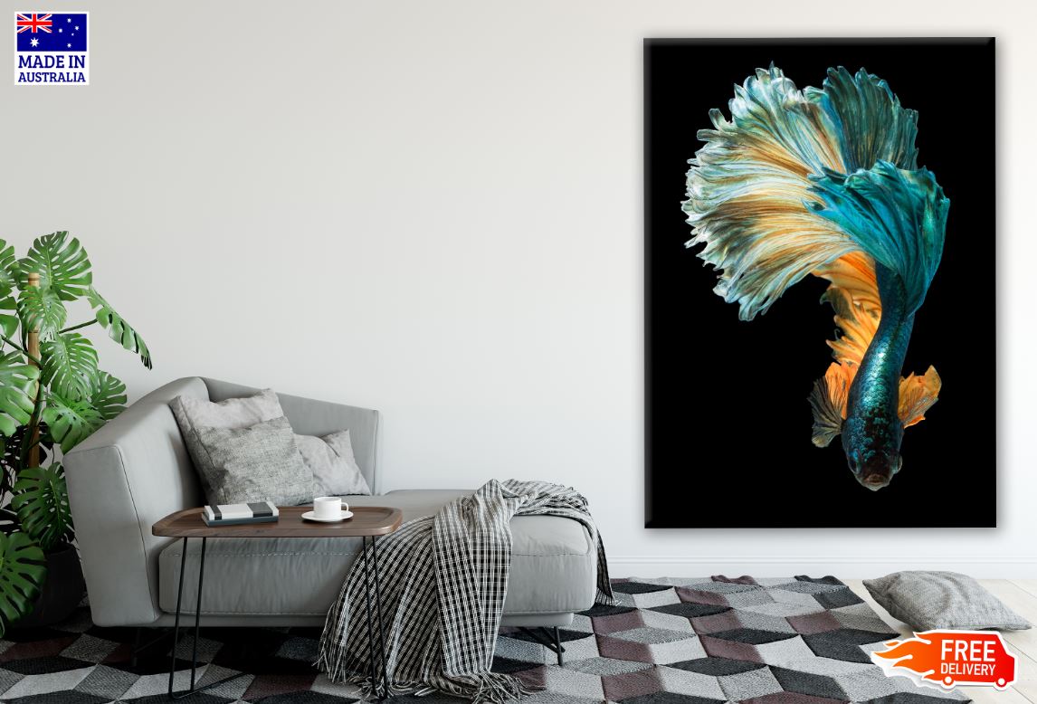 Fighter Fish Photograph Print 100% Australian Made