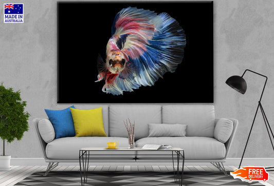 Fighter Fish Photograph Print 100% Australian Made