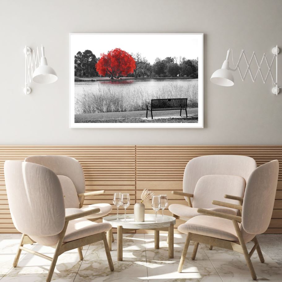 Red Tree on River B&W Photograph Home Decor Premium Quality Poster Print Choose Your Sizes