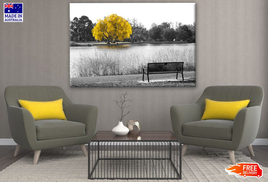 Yellow Leaves Tree B&W Photograph Print 100% Australian Made