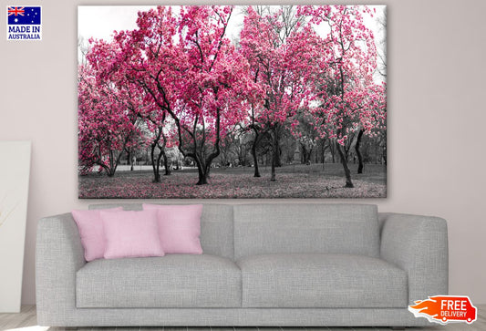 Pink Flower Tree Forest Photograph Print 100% Australian Made