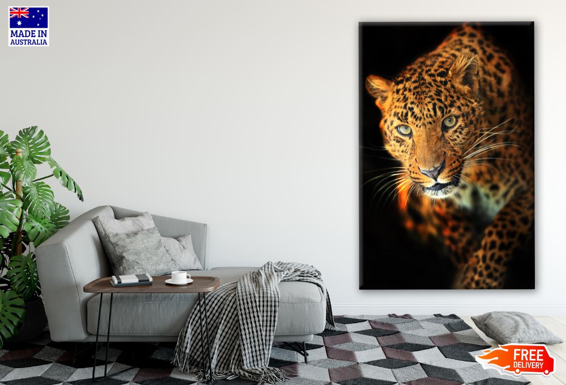 Leopard Portrait Photograph Print 100% Australian Made