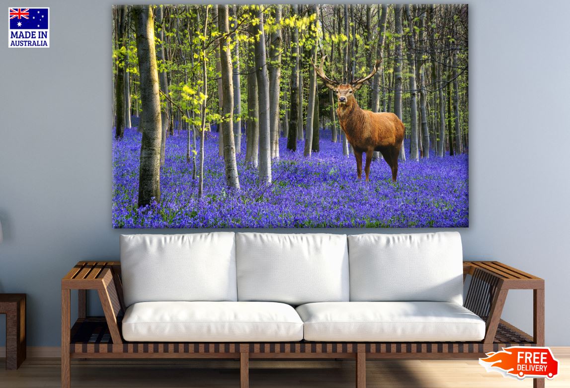 Deer in a Forest Photograph Print 100% Australian Made