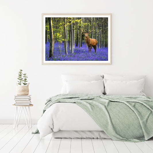 Deer in Forest Photograph Home Decor Premium Quality Poster Print Choose Your Sizes