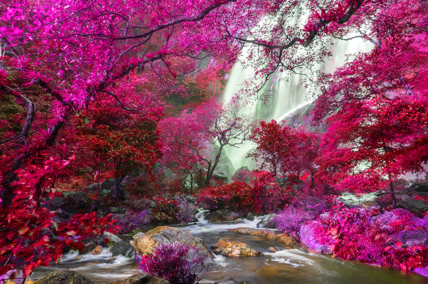 Waterfall & Pink Tree Forest Photograph Print 100% Australian Made