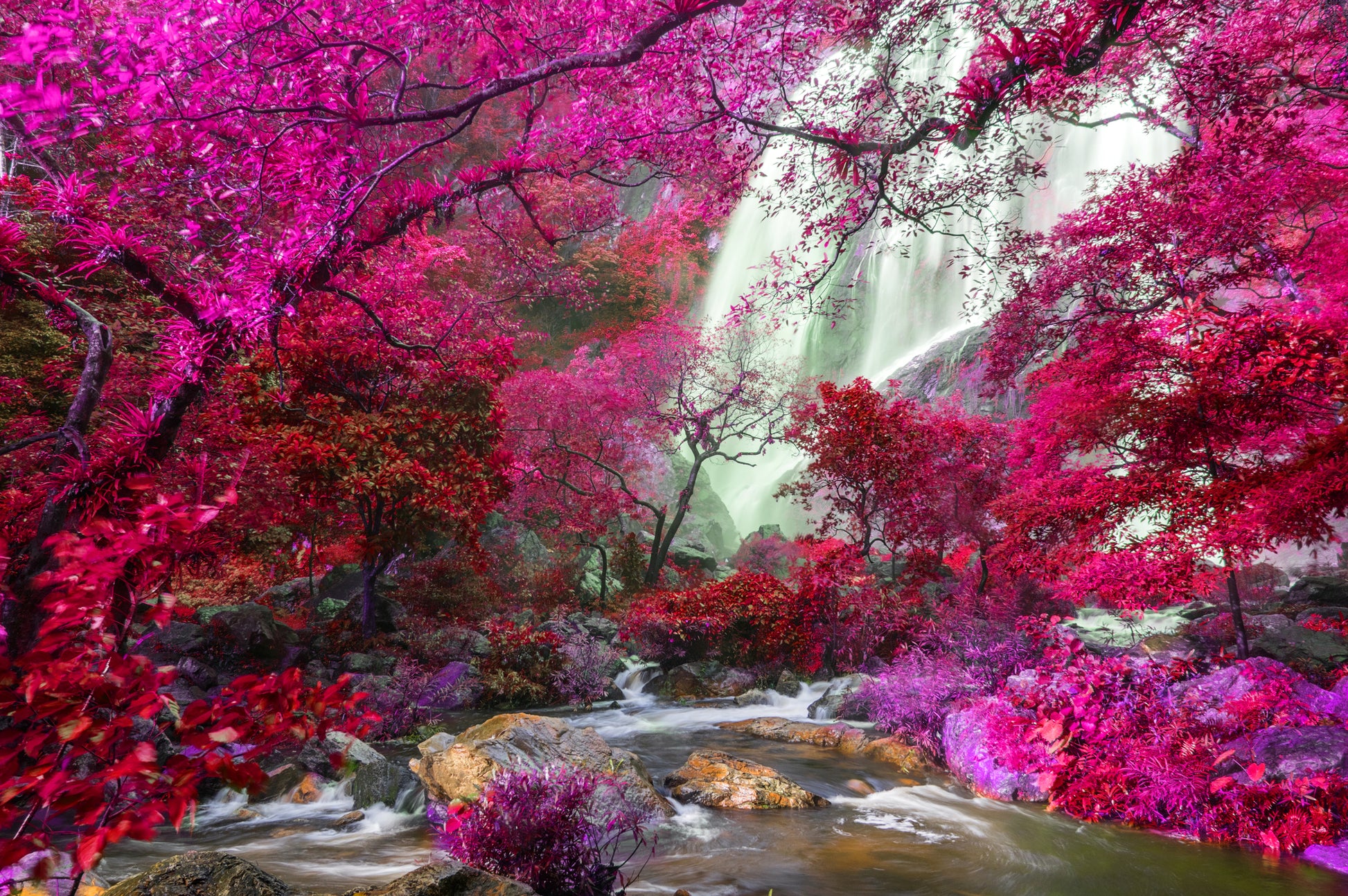 Waterfall & Pink Tree Forest Photograph Print 100% Australian Made