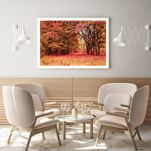 Autumn Tree Forest Photograph Home Decor Premium Quality Poster Print Choose Your Sizes