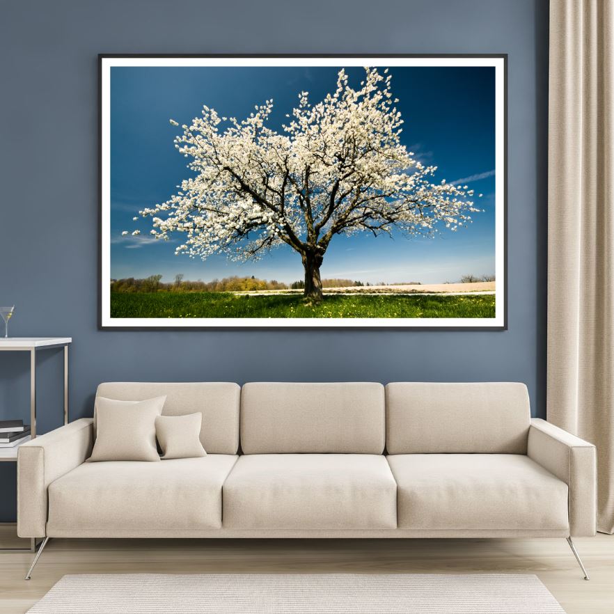 White Tree on Meadow Phtoograph Home Decor Premium Quality Poster Print Choose Your Sizes