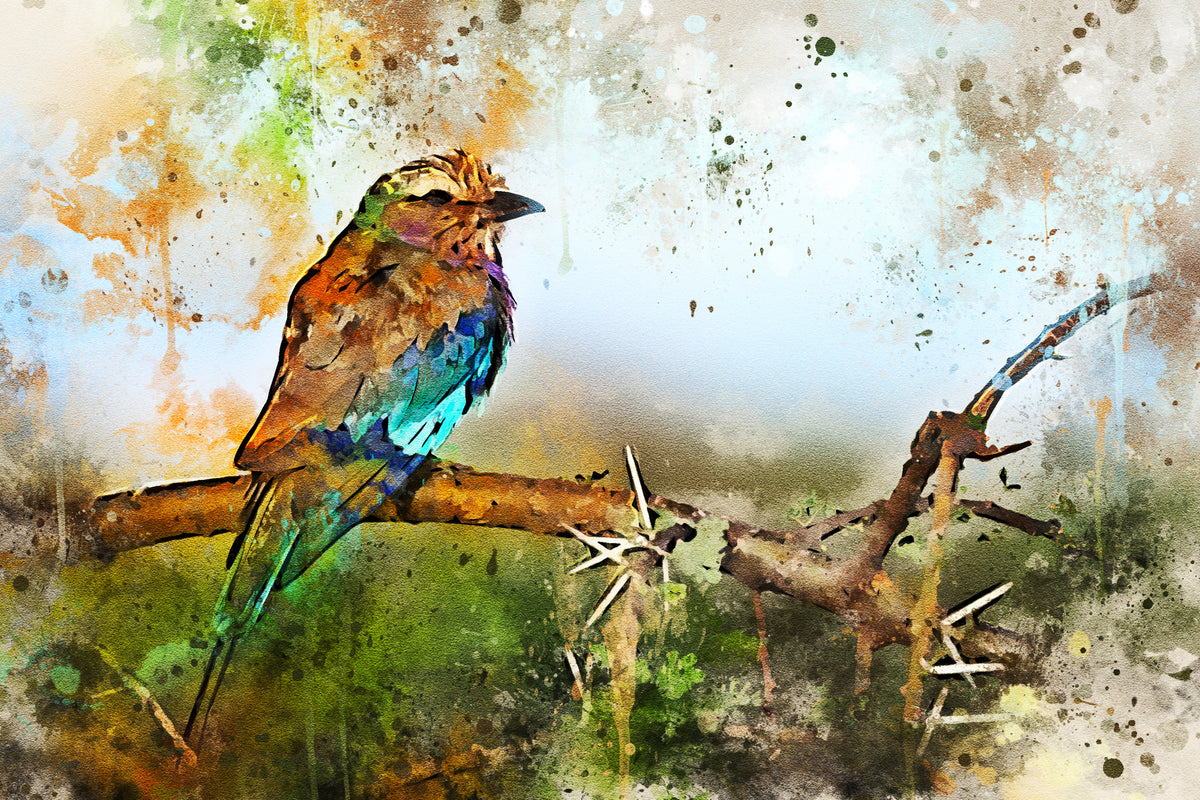 Bird Watercolor Painting Home Decor Premium Quality Poster Print Choose Your Sizes