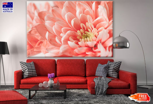 Orange Flower Closeup Photograph Print 100% Australian Made