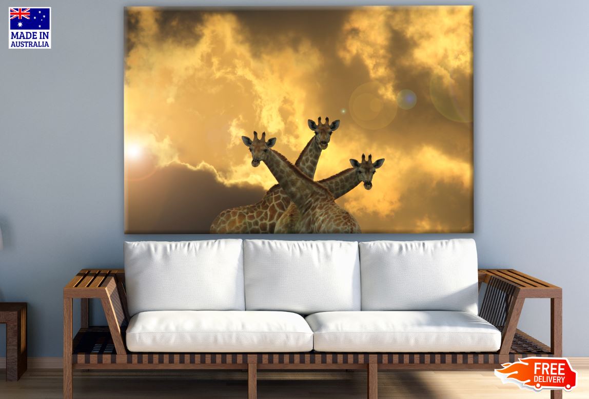 Giraffes at Sunset Photograph Print 100% Australian Made