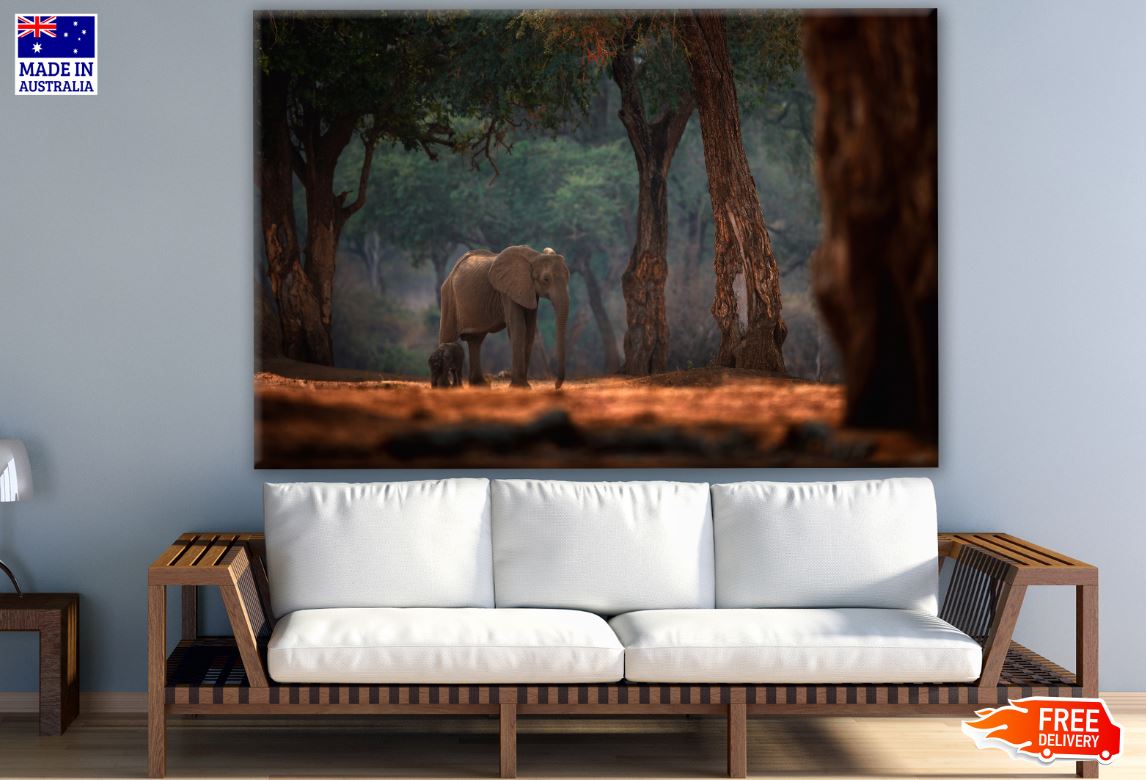 Elephant & Baby in Forest Photograph Print 100% Australian Made