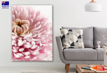 Pink Flower Closeup Photograph Print 100% Australian Made