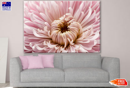 Pink Flower Closeup Photograph Print 100% Australian Made