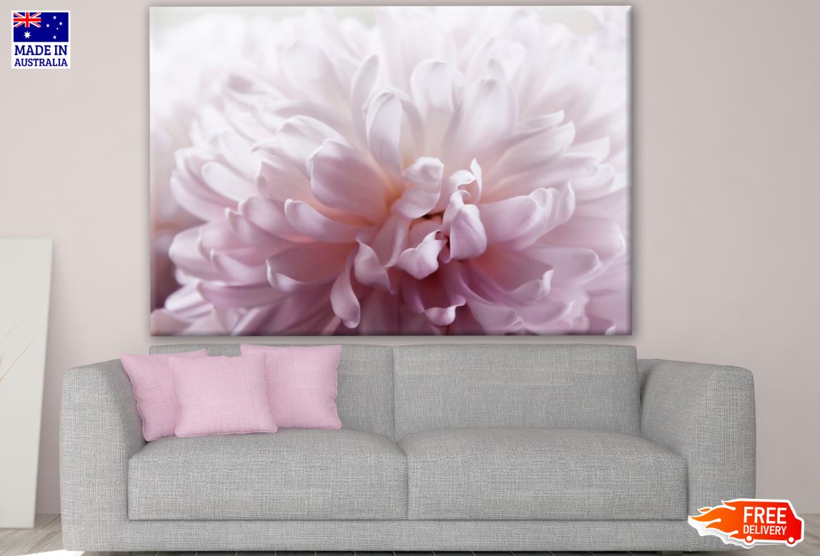 Pink Flower Closeup Photograph Print 100% Australian Made