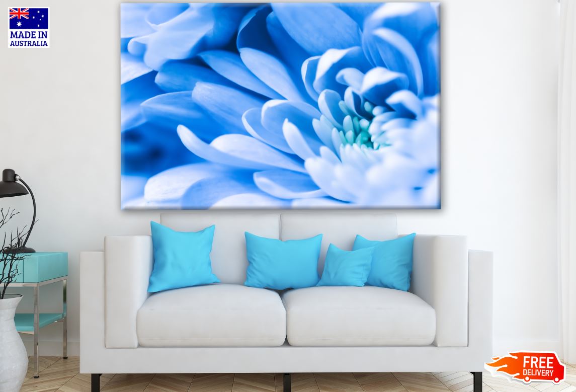 Blue Flower Closeup Photograph Print 100% Australian Made