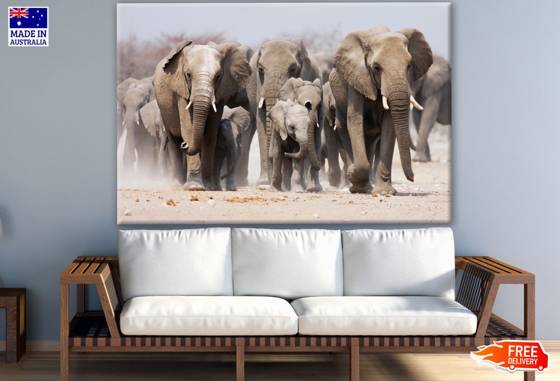 Elephants Walking on Sand Photograph Print 100% Australian Made