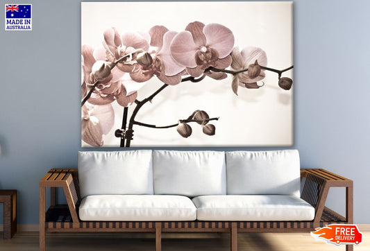 Orchid Flower Branch Photograph Print 100% Australian Made