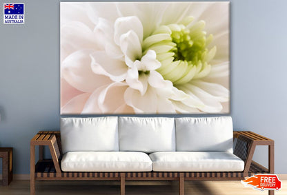 Flower Closeup Photograph Print 100% Australian Made