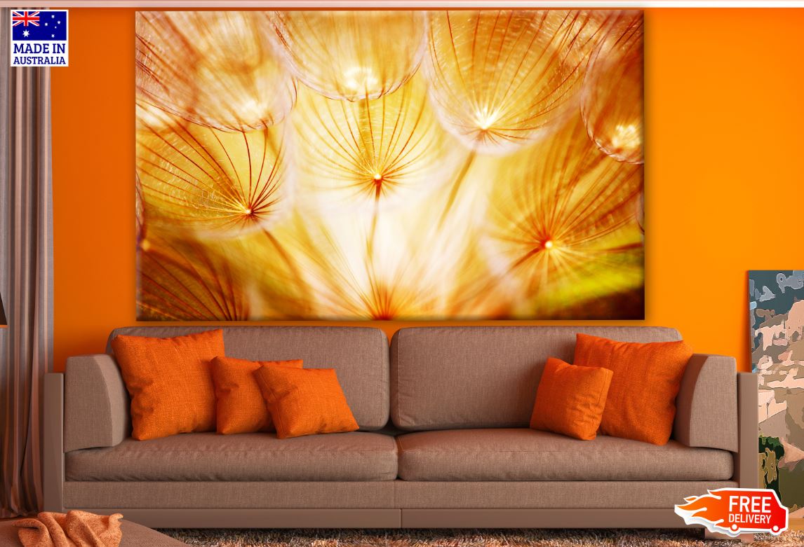 Dandelion Flower Closeup Photograph Print 100% Australian Made