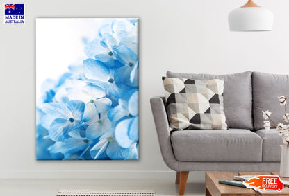 Blue & White Floral Photograph Print 100% Australian Made