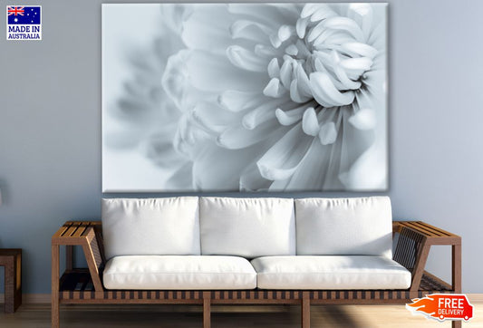 White Flower Closeup Photograph Print 100% Australian Made